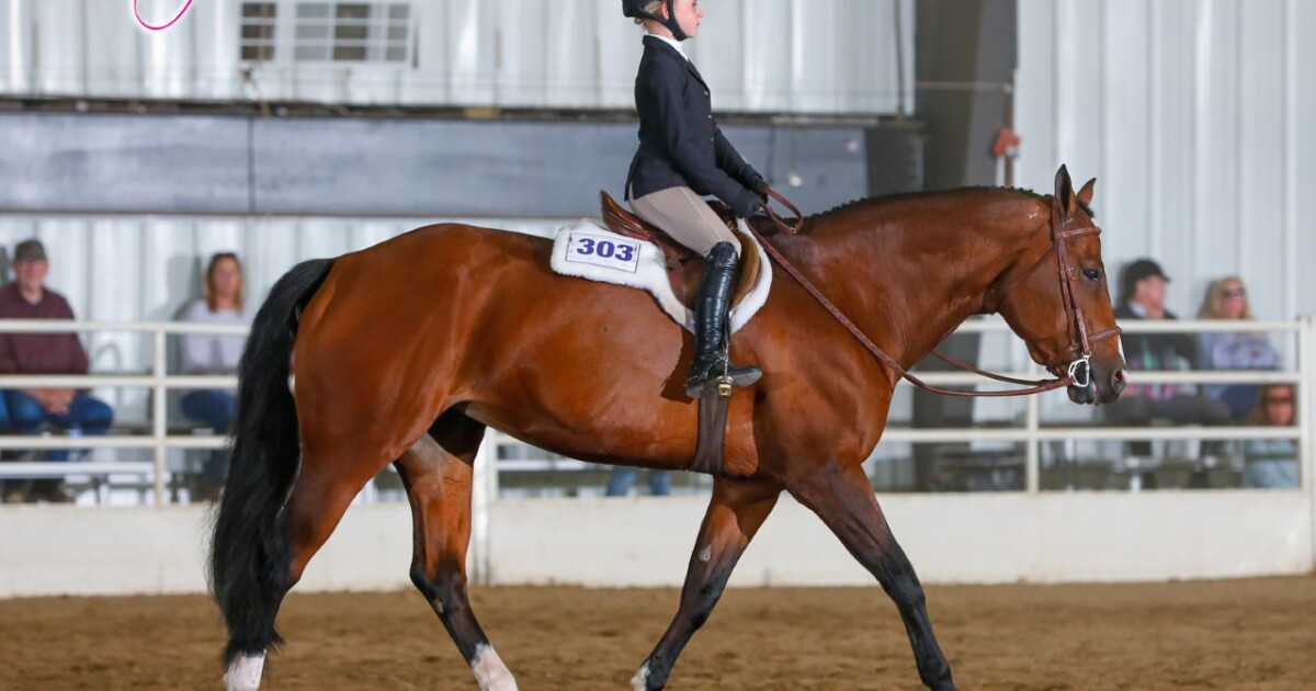 News 5 viewers celebrate National Women and Girls in Sports Day